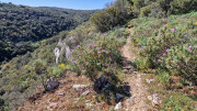 Gardon_26_04-40