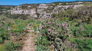 Gardon_26_04-61