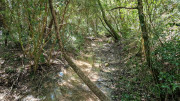 Gardon_26_04-67