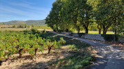 Pompignan_26_09-106