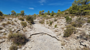 Pompignan_26_09-109