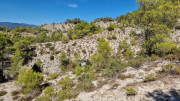 Pompignan_26_09-110