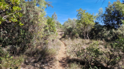 Pompignan_26_09-115
