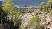 Pompignan_26_09-117