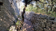 Pompignan_26_09-119