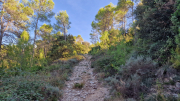 Pompignan_26_09-130