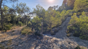 Pompignan_26_09-132