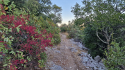 Pompignan_26_09-141