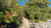 Pompignan_26_09-46