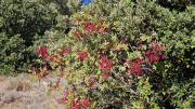 Pompignan_26_09-54