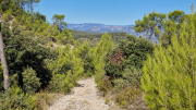 Pompignan_26_09-58