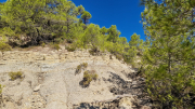 Pompignan_26_09-61
