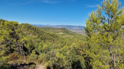 Pompignan_26_09-75