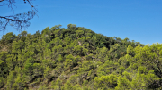 Pompignan_26_09-78