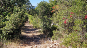 Pompignan_26_09-89