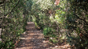 Pompignan_26_09-90