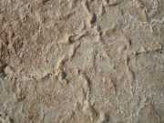 DSCN1346