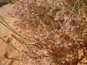 DSCN1369