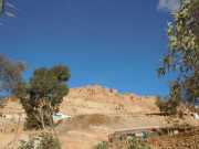 DSCN1375