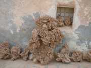 DSCN1422