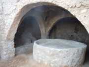 DSCN1428