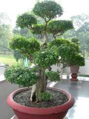 Vietnam_Cambodge-42