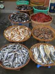 Vietnam_Cambodge-94