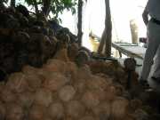 Vietnam_Cambodge_a-17