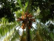 Vietnam_Cambodge_a-19