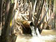 Vietnam_Cambodge_a-21