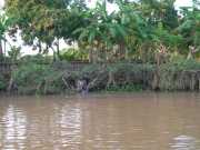 Vietnam_Cambodge_a-46