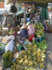 Vietnam_Cambodge_a-81