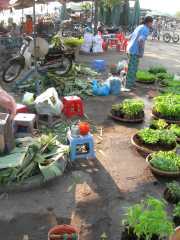 Vietnam_Cambodge_a-83