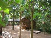 Vietnam_Cambodge_b-193