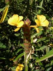 Vietnam_Cambodge_b-366