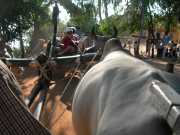 Vietnam_Cambodge_b-374