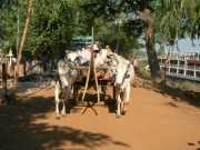 Vietnam_Cambodge_b-376