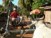 Vietnam_Cambodge_b-377