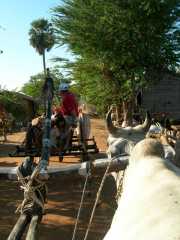 Vietnam_Cambodge_b-378