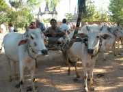 Vietnam_Cambodge_b-380