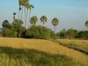 Vietnam_Cambodge_b-403