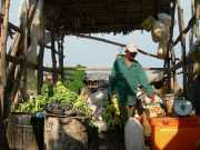 Vietnam_Cambodge_b-430
