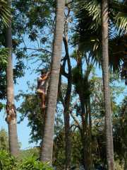 Vietnam_Cambodge_b-459