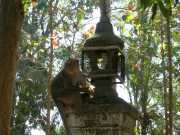 Vietnam_Cambodge_b-464