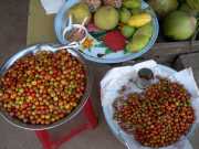 Vietnam_Cambodge_b-466