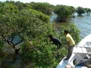 Vietnam_Cambodge_b-533
