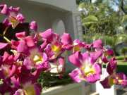 Vietnam_Cambodge_c-05