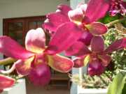 Vietnam_Cambodge_c-06