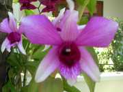 Vietnam_Cambodge_c-07