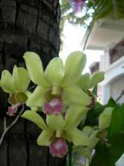Vietnam_Cambodge_c-13